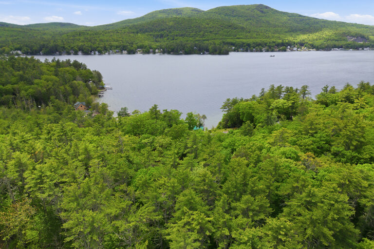 aerial view with mt in back